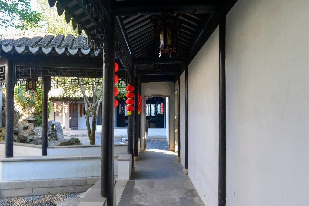 慈姑丰收 村民增收